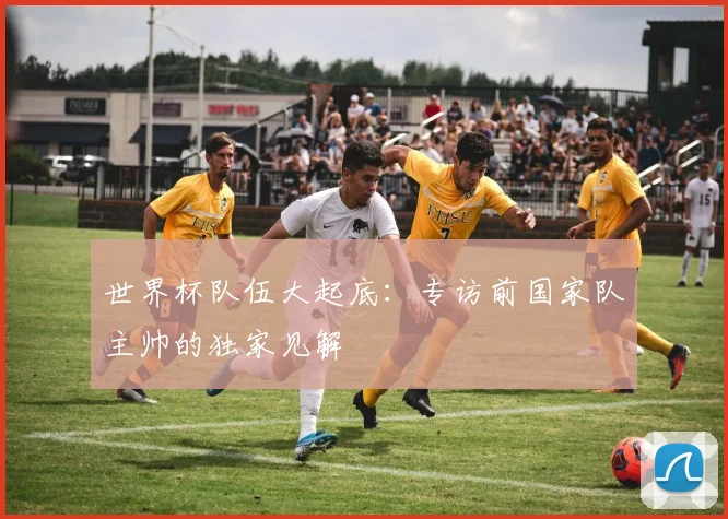 世界杯队伍大起底：专访前国家队主帅的独家见解