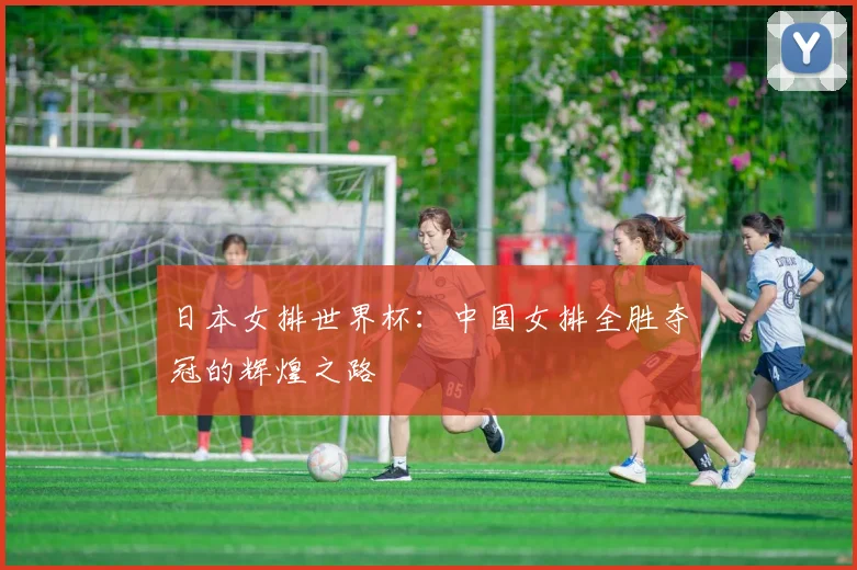 日本女排世界杯：中国女排全胜夺冠的辉煌之路